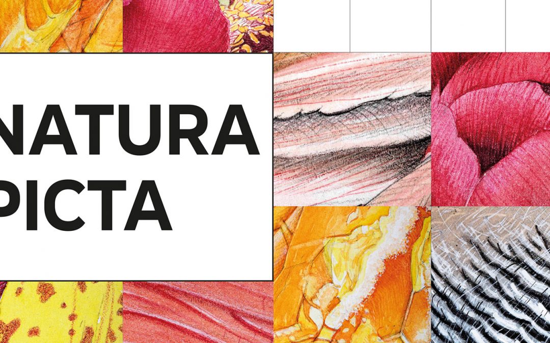 Exposition Natura Picta